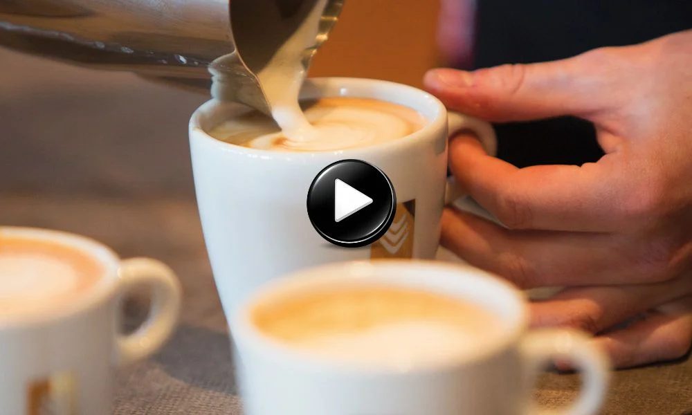 Maison malongo lightbox 1000 x 600