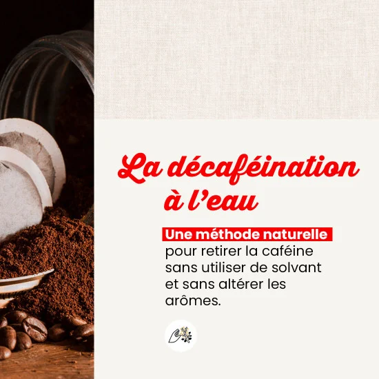 Déca Aqua - 100 doses – Image 3