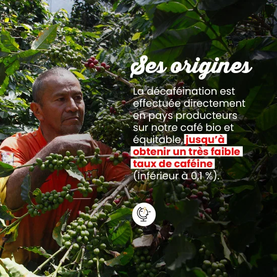 Déca Aqua - 100 doses – Image 4