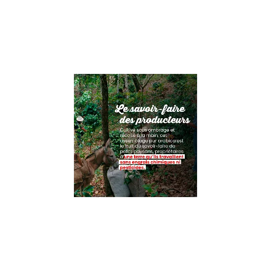 La Tierra - 100 doses – Image 5