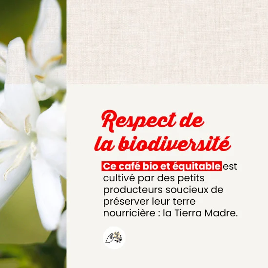 La Tierra - 100 doses – Image 4