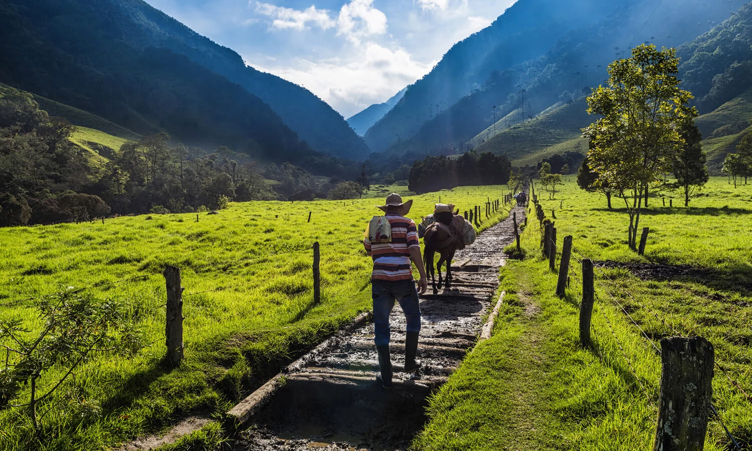 bandeau-colombie-2-1500×900
