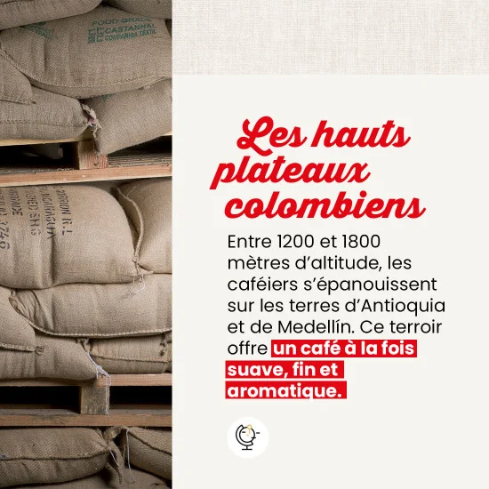 Colombie IGP - 100 doses – Image 3