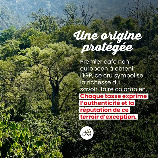 Colombie IGP - 100 doses – Image 4